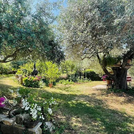Daire Vista Mare